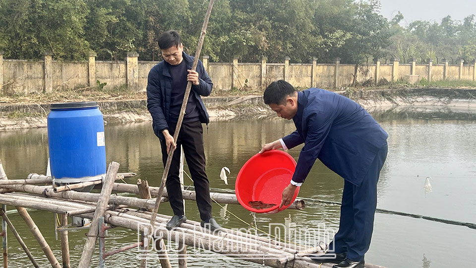 Ứng dụng chế phẩm vi sinh trong sản xuất giống
và nuôi thương phẩm cá chạch bùn