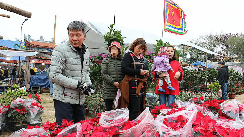 Du khách chọn mua hoa, cây giống lấy may tại chợ Viềng Nam Trực. 
Ảnh: Khánh Dũng