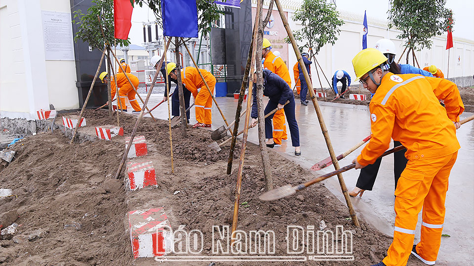 Cán bộ, công nhân viên Đội quản lý vận hành lưới điện cao thế Nam Định hưởng ứng phong trào Tết trồng cây năm 2023.