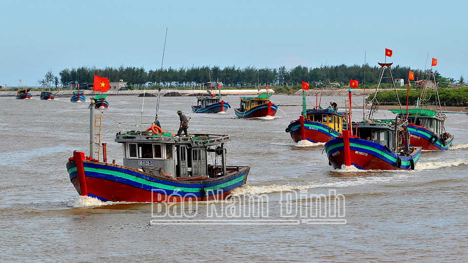 Bổ sung 1 bến hàng lỏng tại huyện Hải Hậu vào quy hoạch chi tiết nhóm cảng biển phía Bắc