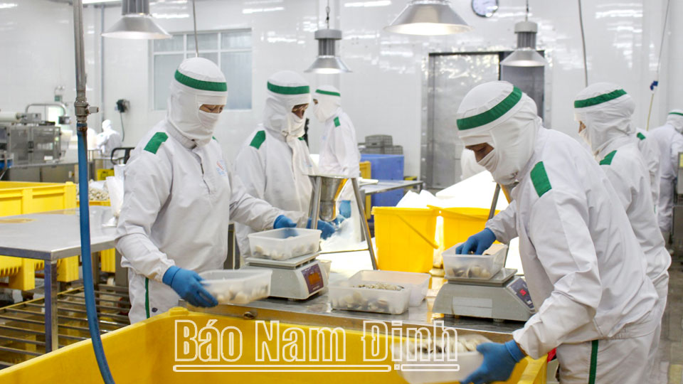 Chế biến ngao xuất khẩu tại Công ty TNHH Thủy sản Lenger Việt Nam, Cụm công nghiệp An Xá (thành phố Nam Định).