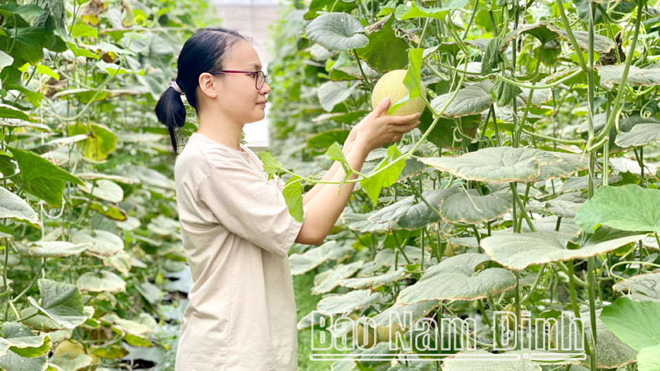 Phát triển chuỗi cung ứng nông, lâm, thủy sản an toàn