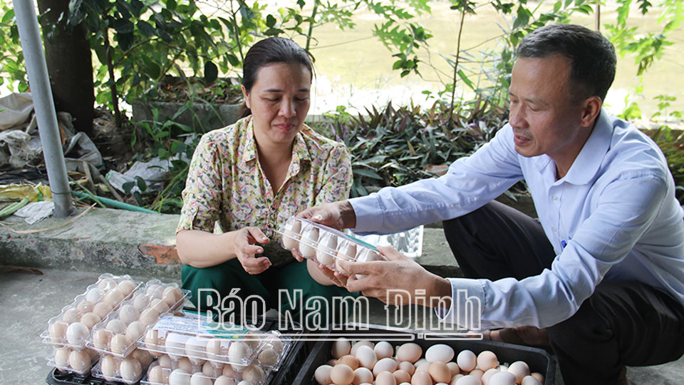 Sản phẩm trứng gà Hiền Hoa, thôn Hồ Sen, xã Vĩnh Hào được chứng nhận đạt chuẩn OCOP 3 sao.