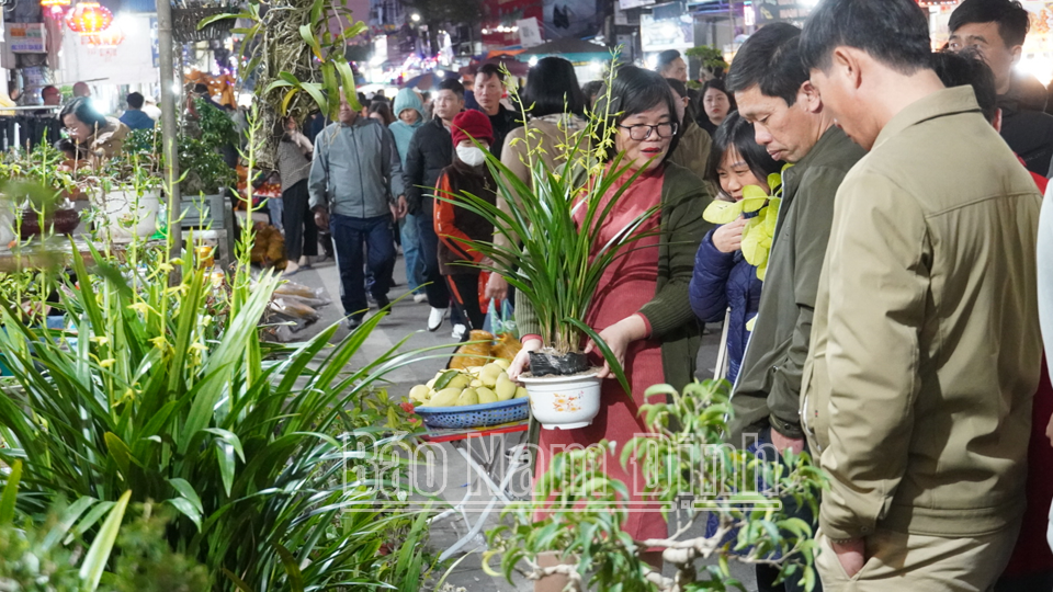 Mua cây đầu năm với ước mong một năm sung túc, đón lộc về nhà. 