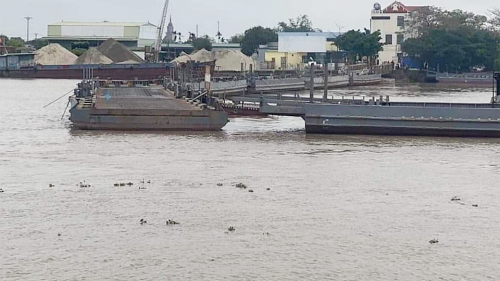 Tàu hàng va chạm với cầu phao Ninh Cường làm 1 nhân viên bến phà rơi xuống sông Ninh Cơ mất tích