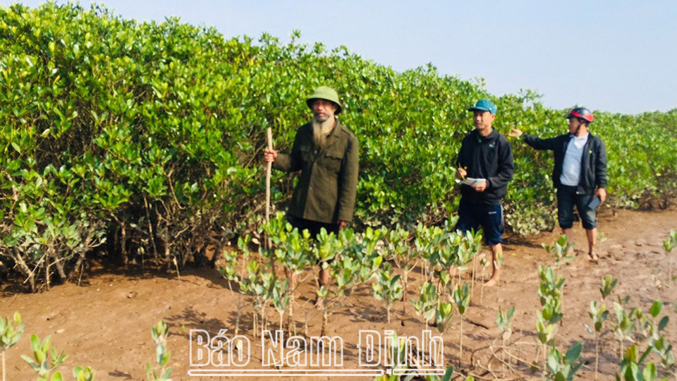Thành viên tổ tự quản bảo vệ rừng ngập mặn xã Giao An (Giao Thủy) tham gia tuần tra, bảo vệ rừng.
