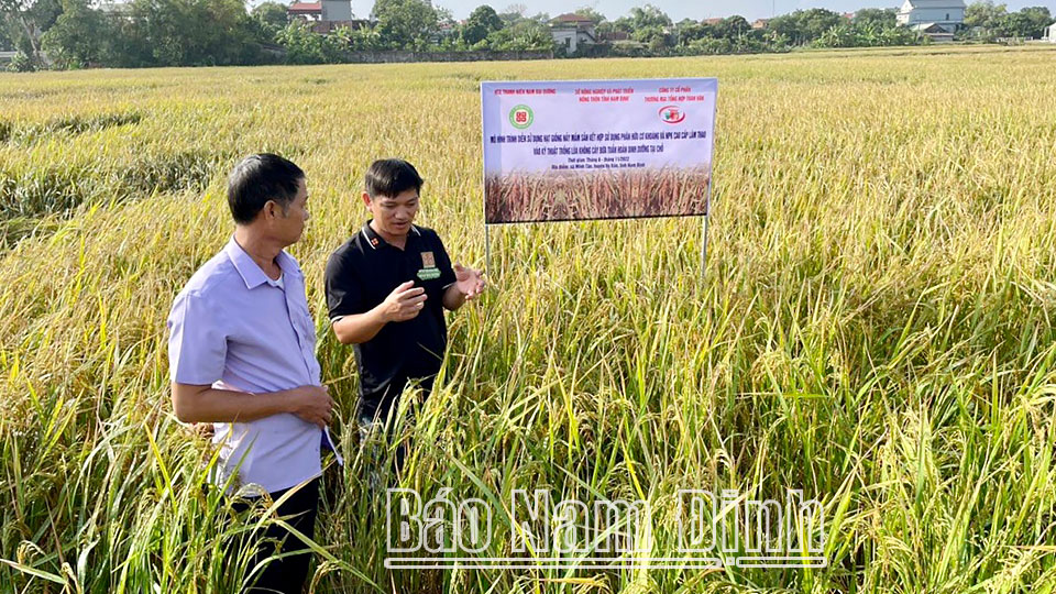 Mô hình sản xuất gạo mầm của hợp tác xã Nam Đại Dương tại xã Minh Tân (Vụ Bản).
Bài và ảnh: Ngọc Ánh