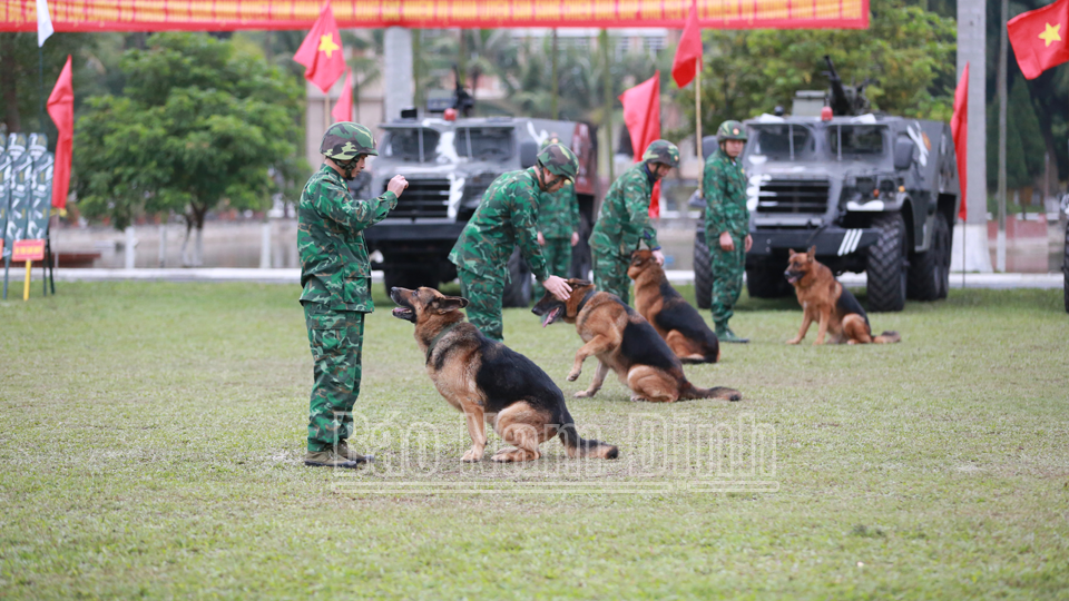 Màn biểu diễn của đội huấn luyện chó nghiệp vụ (Bộ Chỉ huy BĐBP tỉnh). DT7
            