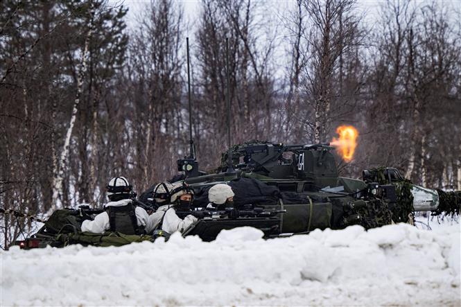 Binh sĩ Thụy Điển tham gia cuộc tập trận của NATO tại khu vực biên giới giữa Na Uy và Phần Lan ngày 9/3/2024. Ảnh: AFP/TTXVN
