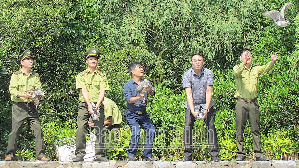 Lực lượng Kiểm lâm Nam Định phối hợp với Ban quản lý Vườn quốc gia Xuân Thủy thả chim hoang dã bị săn bắt trái phép về môi trường tự nhiên.