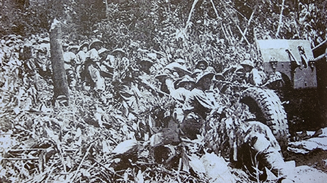 Đại đoàn 304 mang mật danh “Nam Định” có 2 Trung đoàn là: Trung đoàn 9 mật danh “Ninh Bình”; Trung đoàn 57 mật danh “Nho Quan”. Trong ảnh: Trung đoàn 57, Đại đoàn 304 cùng các đơn vị khác tham gia kéo pháo vào mặt trận Điện Biên Phủ tháng 1/1954.