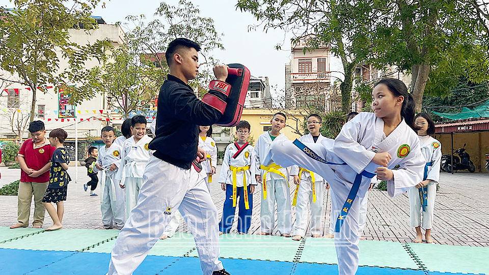 Võ sinh Câu lạc bộ Taekwondo Trường Tiểu học Hồ Tùng Mậu tập luyện cùng võ sư Võ đường Hưng Trường Thi (thành phố Nam Định).