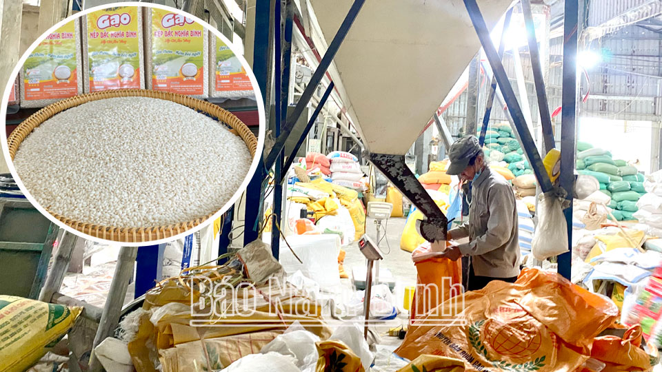 Chế biến sản phẩm gạo nếp Bắc Nghĩa Bình.