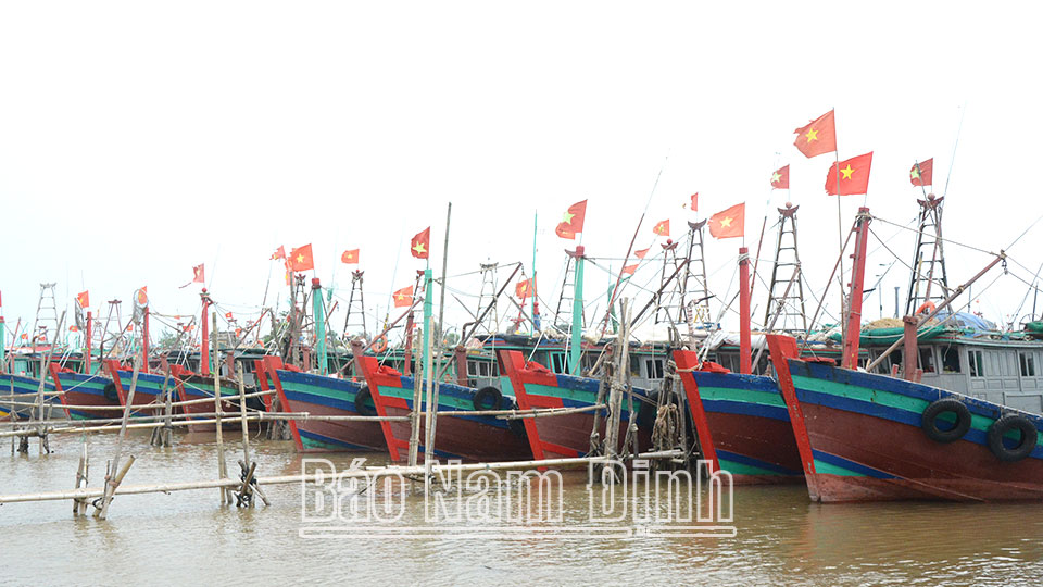 Tàu cá của ngư dân cập Cảng cá Thịnh Long (Hải Hậu)