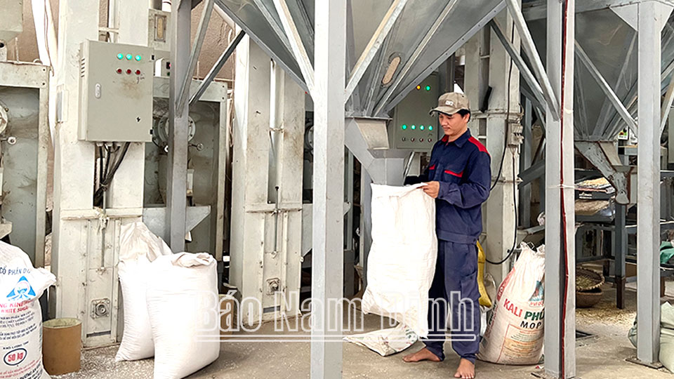 Chế biến sản phẩm gạo OCOP tại xã Nghĩa Lâm (Nghĩa Hưng).