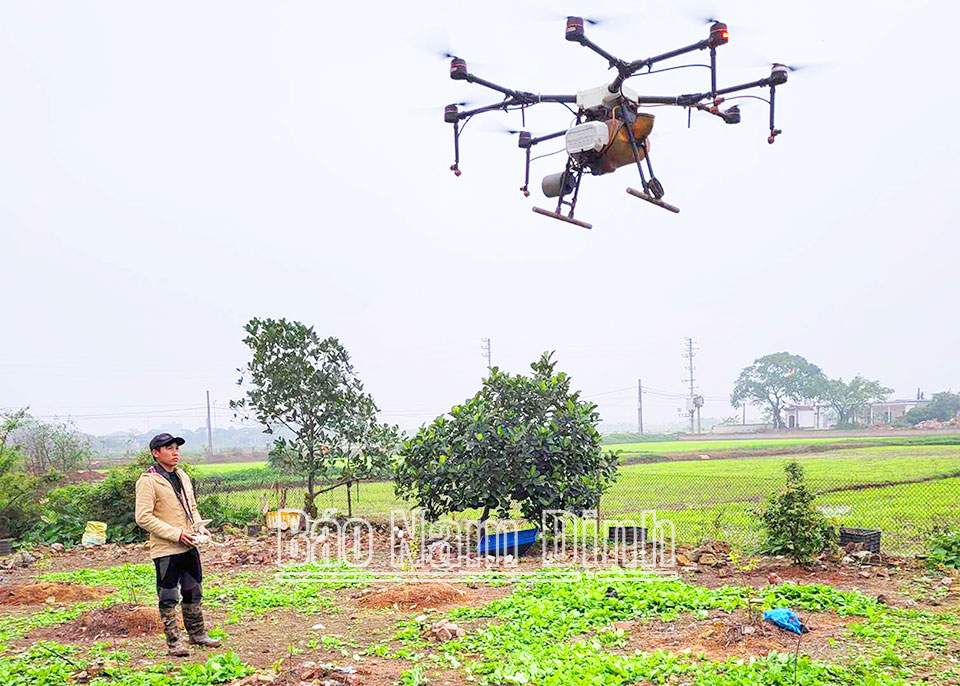 Anh Vũ Đình Kiên, xã Trực Nội (Trực Ninh) đầu tư thiết bị bay không người lái phun thuốc bảo vệ thực vật cho cây trồng.
Ảnh: Do cơ sở cung cấp