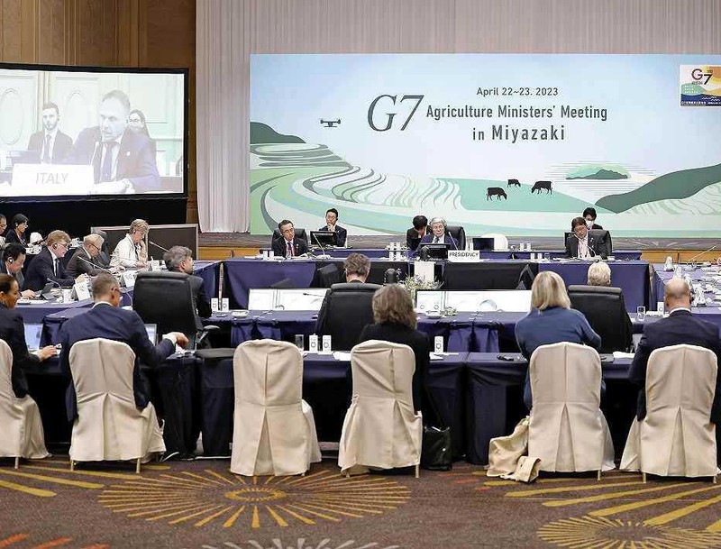 G7 kêu gọi gia hạn thỏa thuận ngũ cốc Biển Đen