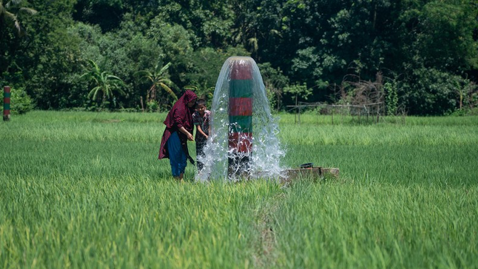 Năm 2022, ADB cung cấp 3,7 tỷ USD trong khuôn khổ chương trình an ninh lương thực trị giá 14 tỷ USD của mình, cung cấp cứu trợ lương thực thiết yếu cho những người cần hỗ trợ nhất và tăng cường các hệ thống sản xuất lương thực. (Ảnh minh họa: ADB)
