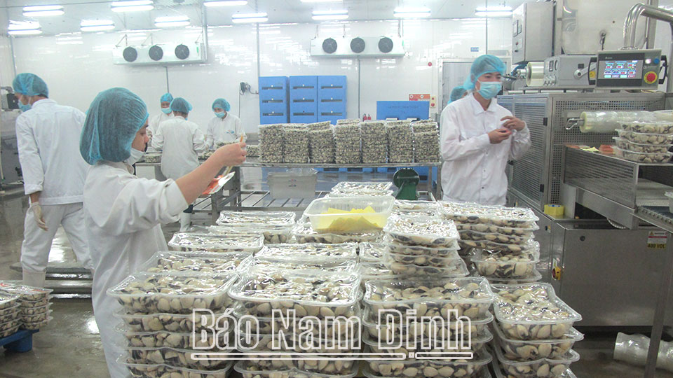 Sản phẩm ngao tươi nguyên vỏ đóng hộp của Công ty Thủy sản Lenger Việt Nam.