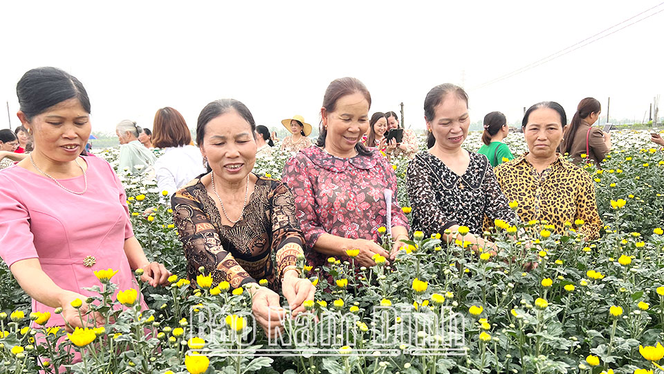 Mô hình trồng hoa cho hiệu quả kinh tế cao của bà Nguyễn Thị Kẹo, xã Mỹ Tân (Mỹ Lộc).