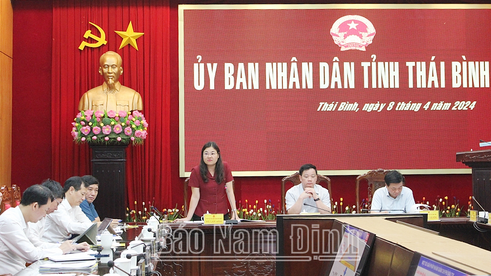 Đồng chí Phó Chủ tịch UBND tỉnh Nam Định Hà Lan Anh phát biểu tại hội nghị.
            