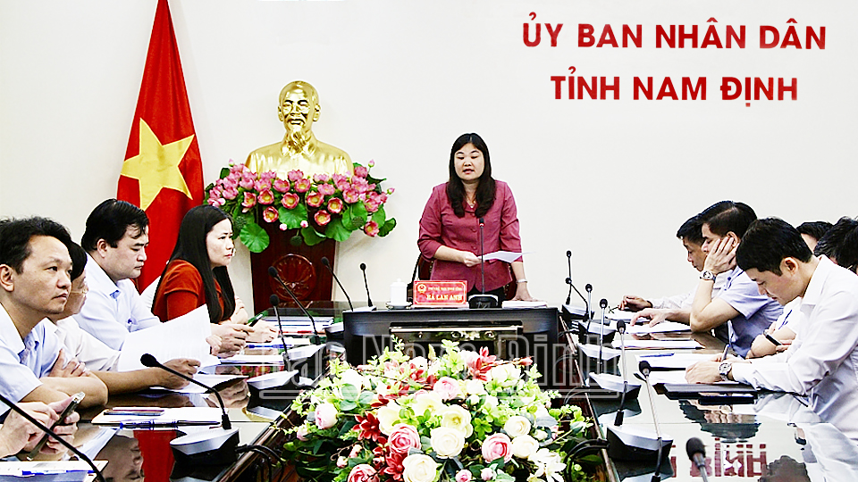 Đồng chí Hà Lan Anh, TUV, Phó Chủ tịch UBND tỉnh phát biểu tại cuộc họp. 
