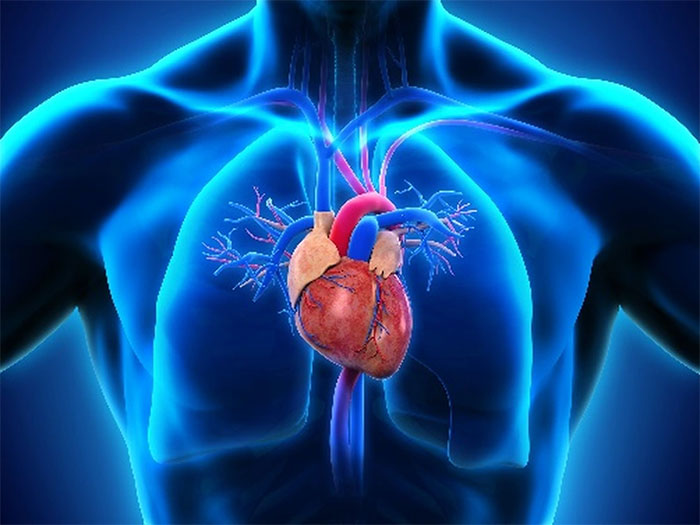 Pin oxygen có thể loại bỏ nhu cầu phẫu thuật xâm lấn cho các bệnh nhân sử dụng máy trợ tim và các thiết bị cấy ghép khác bên trong cơ thể (Ảnh: nerthuz/Adobe).

