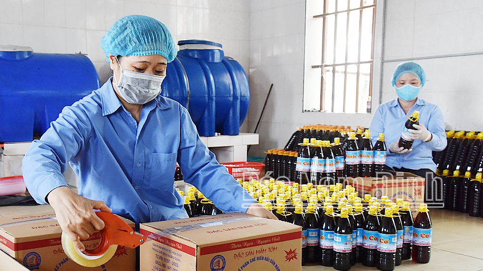  Sản phẩm nước mắm Ninh Cơ của Công ty Cổ phần Chế biến hải sản Nam Định, thị trấn Thịnh Long (Hải Hậu) được công nhận sản phẩm OCOP 3 sao.
            