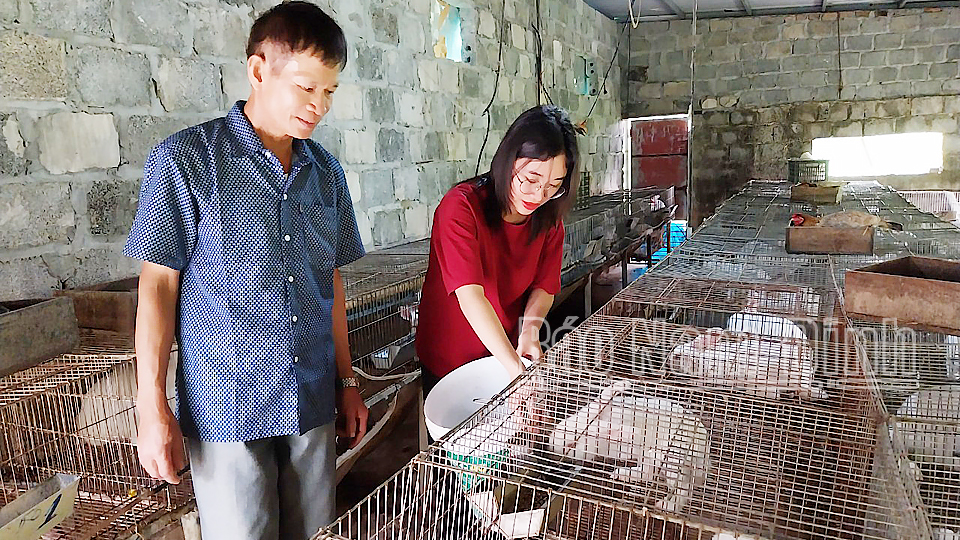 Ông Đỗ Văn Bổng, hội viên nông dân xã Yên Lương (Ý Yên) là 1 trong 12 tập thể, cá nhân tham gia Triển lãm “Những tấm gương bình dị mà cao quý năm 2024”.