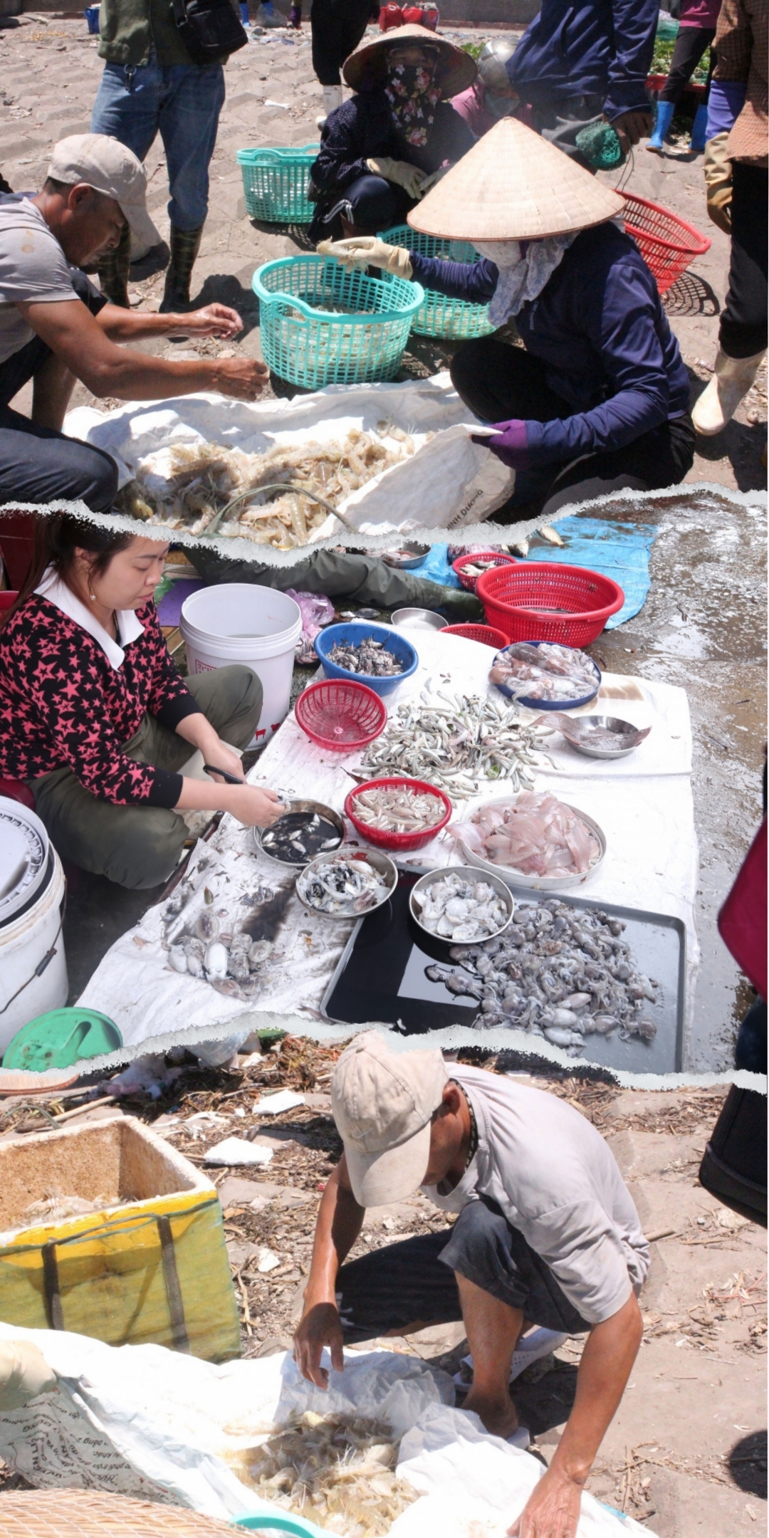 Tiểu thương phân loại hải sản ngay tại chợ.