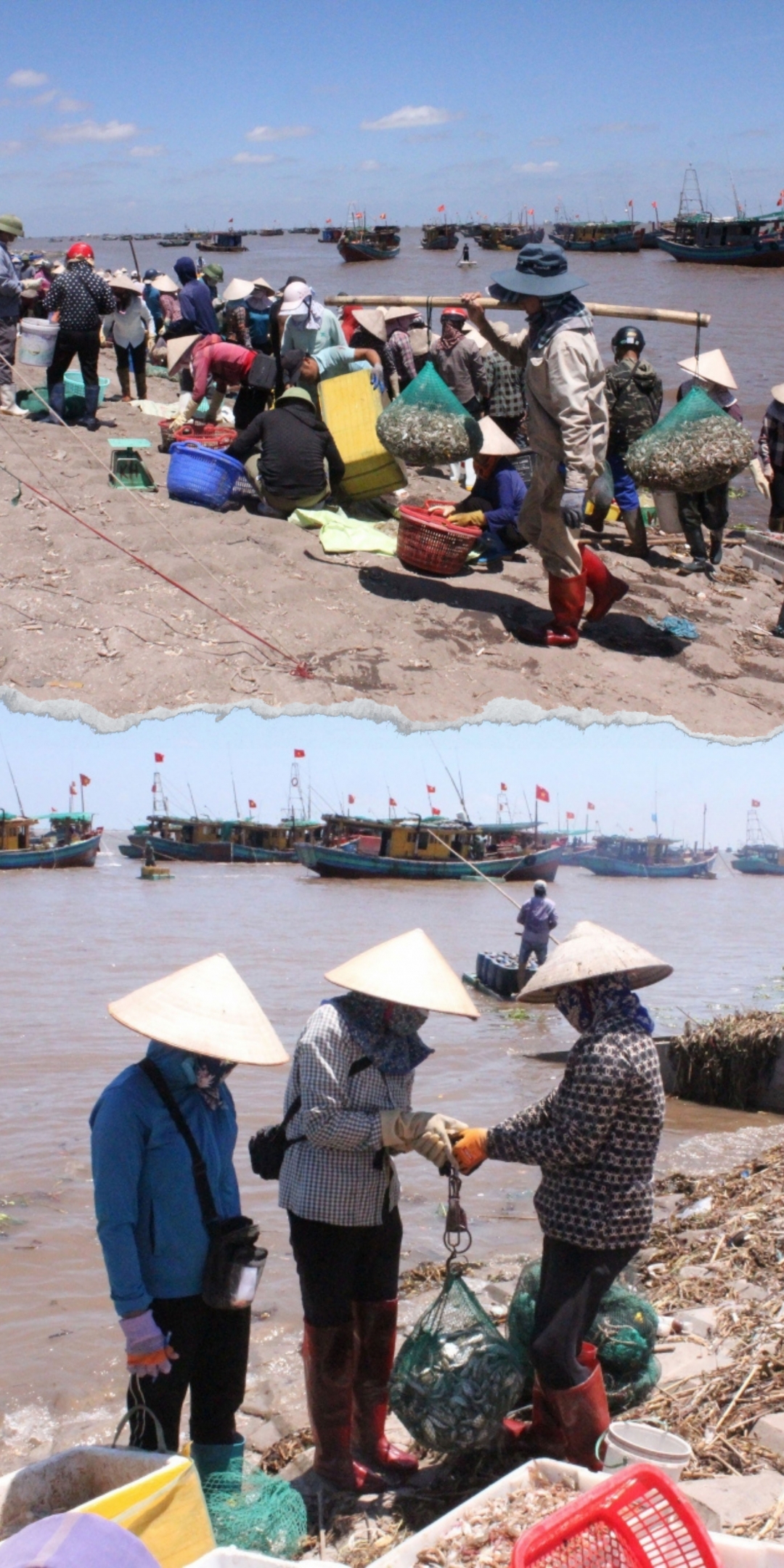 Cảnh mua bán tập nập trên bến dưới thuyền tại chợ cá Giao Hải, xã Giao Hải (Giao Thủy).