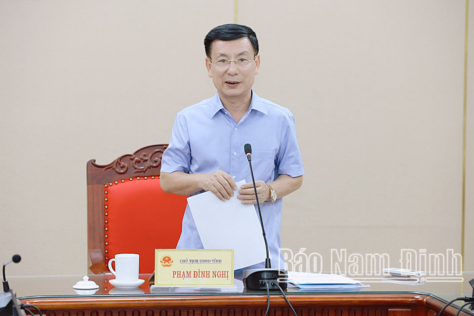 Đồng chí Phạm Đình Nghị, Phó Bí thư Tỉnh ủy, Chủ tịch UBND tỉnh phát biểu chỉ đạo hội nghị.