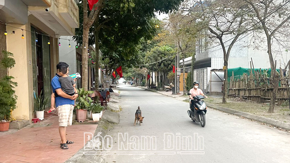 Vật nuôi thả rông trên phố Huy Cận (thành phố Nam Định) gây nguy hiểm cho người tham gia giao thông.