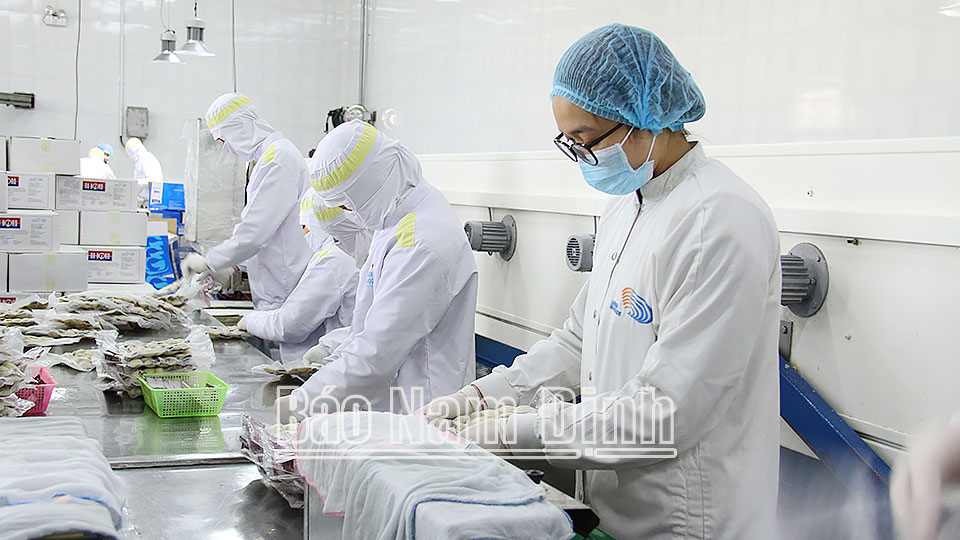 Đóng gói sản phẩm ngao nguyên vỏ tại Công ty TNHH Thủy sản Lenger Việt Nam (thành phố Nam Định).
Bài và ảnh: Nguyễn Hương
