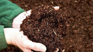 Phương pháp sử dụng chế phẩm vi sinh vật ủ phân hữu cơ từ phụ phẩm trồng trọt và chất thải chăn nuôi
