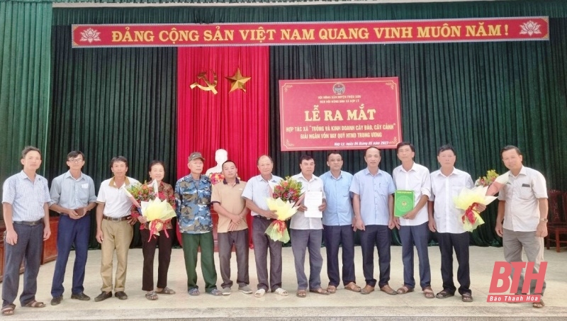 Thanh Hóa: Ra mắt Hợp tác xã trồng và kinh doanh cây đào, cây cảnh