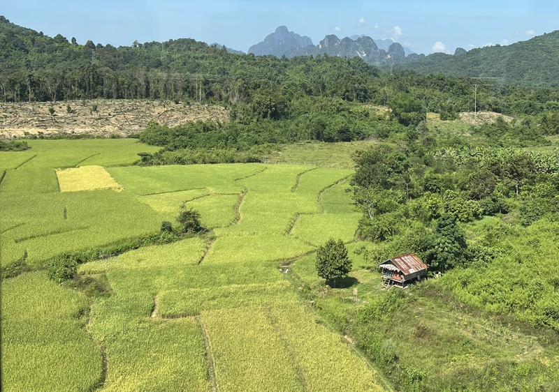 Lào đặt mục tiêu sản xuất hơn 3,8 triệu tấn lúa trong năm 2023