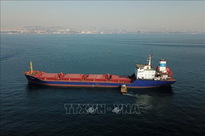 Hơn 30 triệu tấn hàng được xuất khẩu trong khuôn khổ Sáng kiến Ngũ cốc Biển Đen