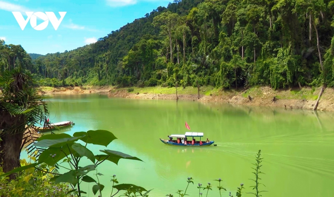 Quảng Nam: Mở hướng sinh kế bền vững dựa vào rừng
