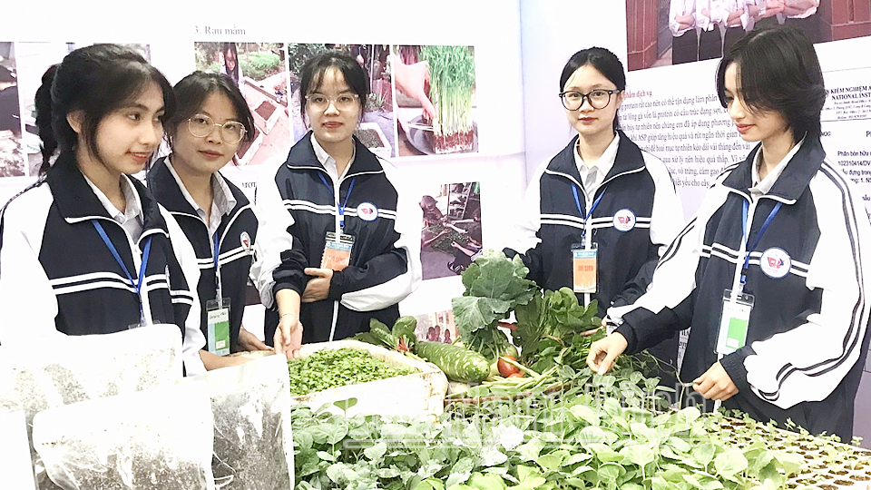 Dự án của nhóm học sinh Trường THPT Nguyễn Trường Thúy (Xuân Trường) đoạt giải Nhì tại Cuộc thi HSSV với ý tưởng khởi nghiệp năm 2024. Ảnh: Minh Thuận. 

