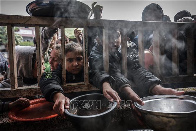 Xung đột Israel - Hamas: WHO kêu gọi dỡ bỏ hạn chế cho viện trợ