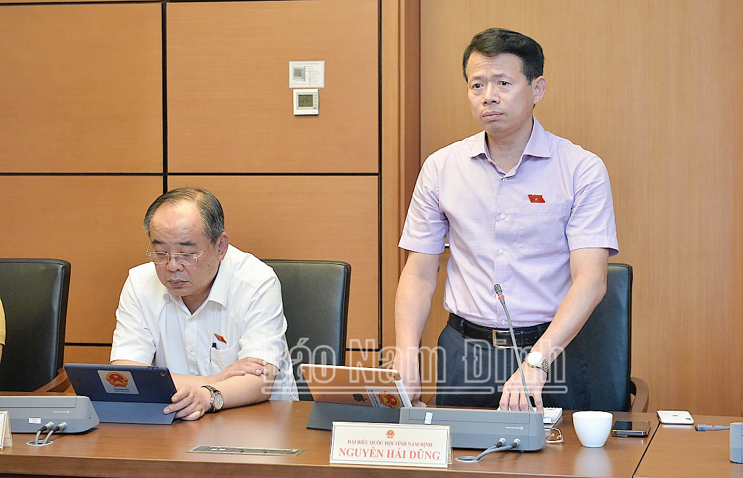 Đồng chí Nguyễn Hải Dũng, TUV, Phó Trưởng đoàn chuyên trách Đoàn ĐBQH tỉnh phát biểu thảo luận.  