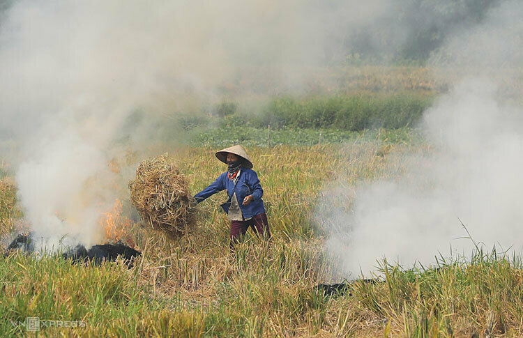 Tăng cường thực hiện các biện pháp giảm thiểu
và xử lý việc đốt rơm rạ, rác thải không đúng quy định