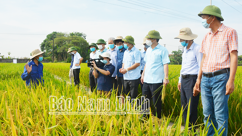 Diện tích sản xuất nông nghiệp hữu cơ được mở rộng