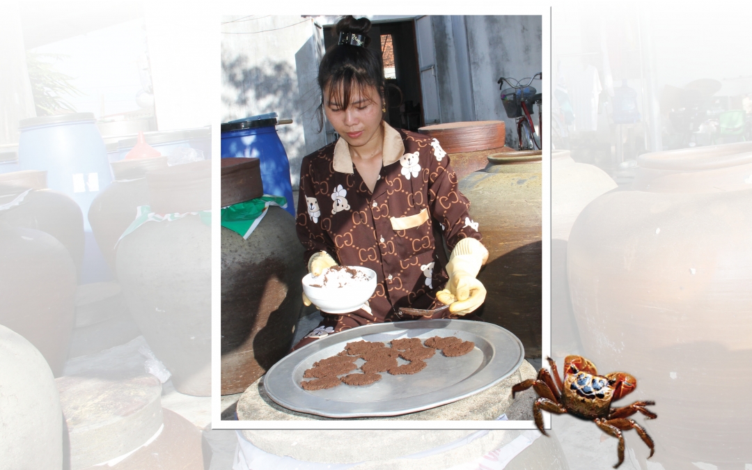 <em>Phơi trứng cáy tại cơ sở sản xuất mắm của gia đình anh Trần Văn Phúc, thị trấn Ninh Cường (Trực Ninh).</em>