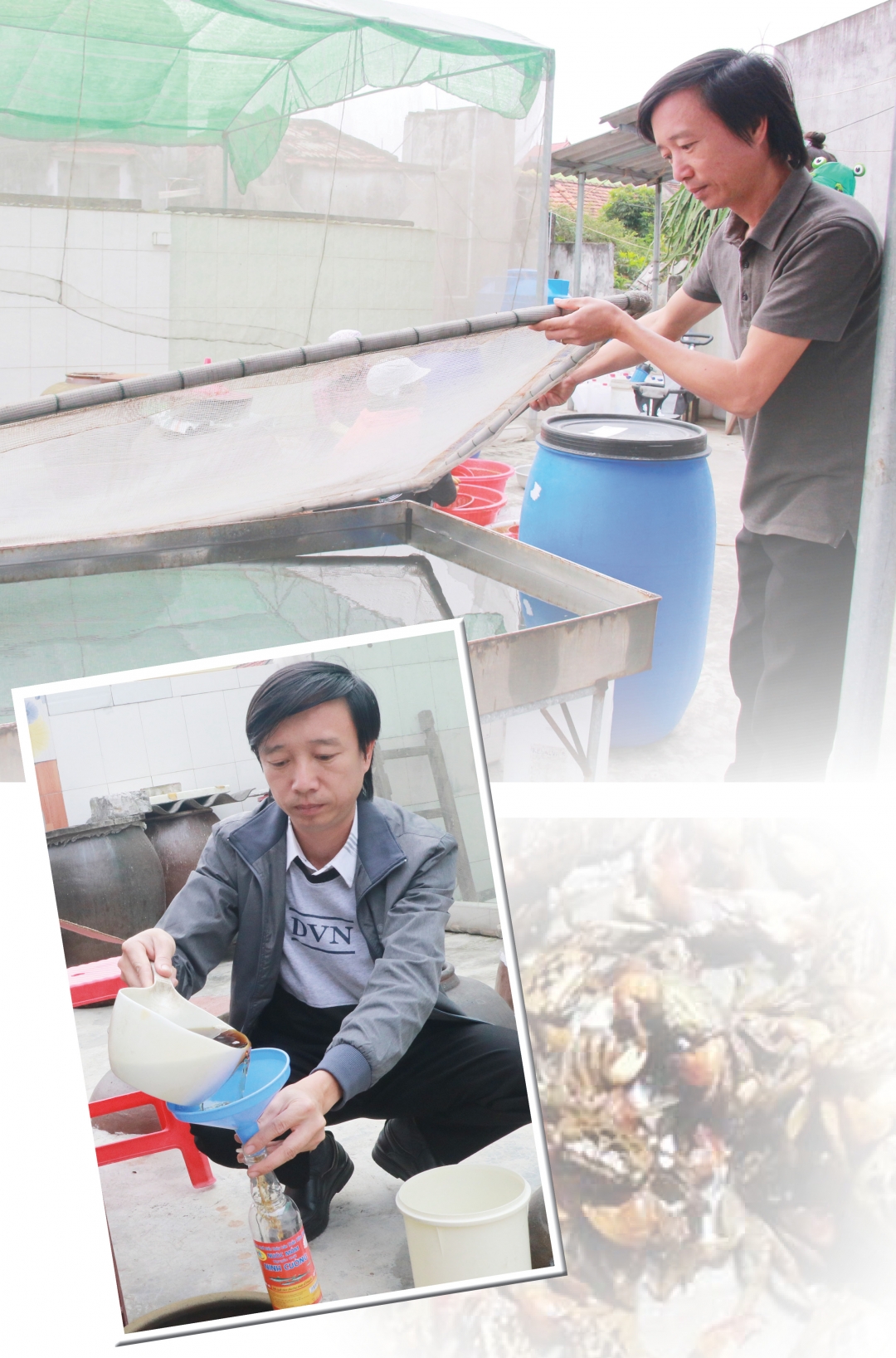 <em>Sang chiết mắm cáy thành phẩm tại cơ sở sản xuất mắm của gia đình anh Trần Văn Phúc, thị trấn Ninh Cường (Trực Ninh).</em>