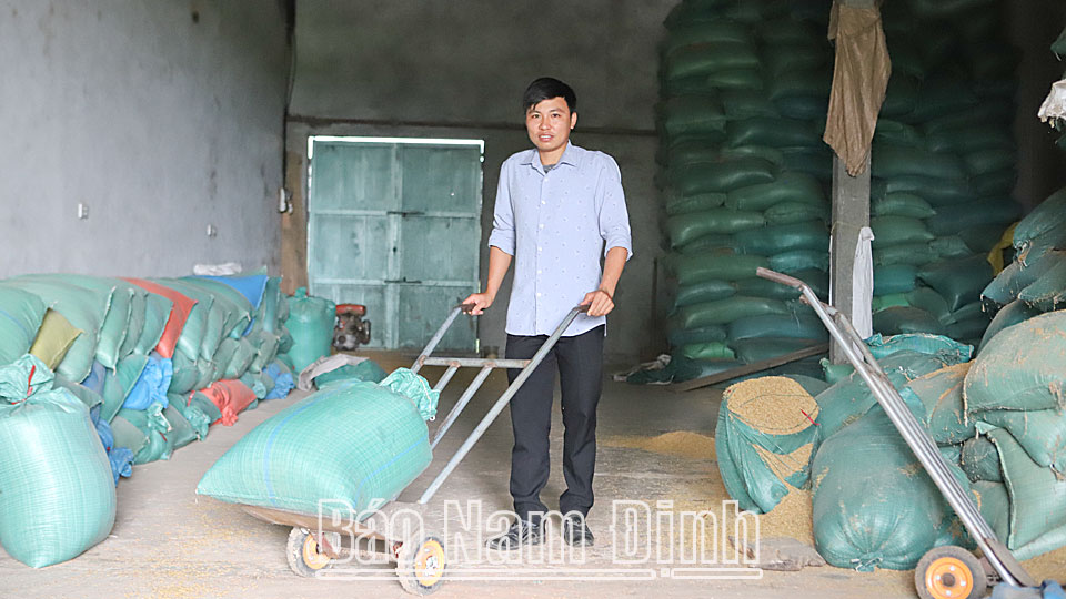 Kho chứa lúa sấy khô tại cơ sở sản xuất gạo sạch của anh Vũ Đình Kiên.