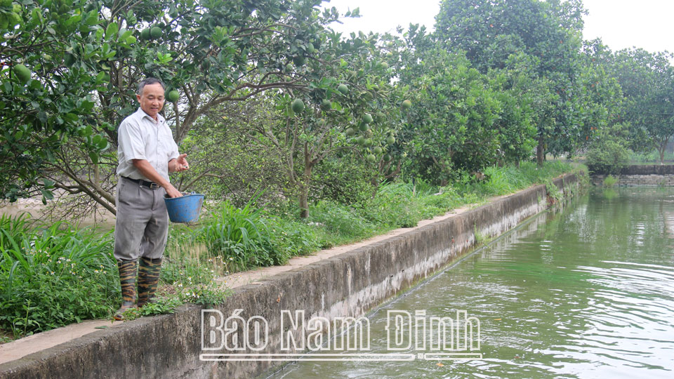 Đa dạng các nguồn vốn hỗ trợ
nông dân sản xuất, kinh doanh