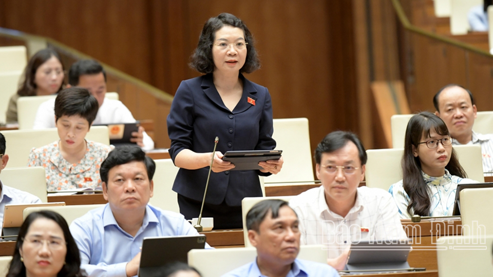 Đồng chí Mai Thị Phương Hoa, Phó Chủ nhiệm Ủy ban Tư pháp Quốc hội, Đoàn đại biểu Quốc hội tỉnh tham gia chất vấn.
