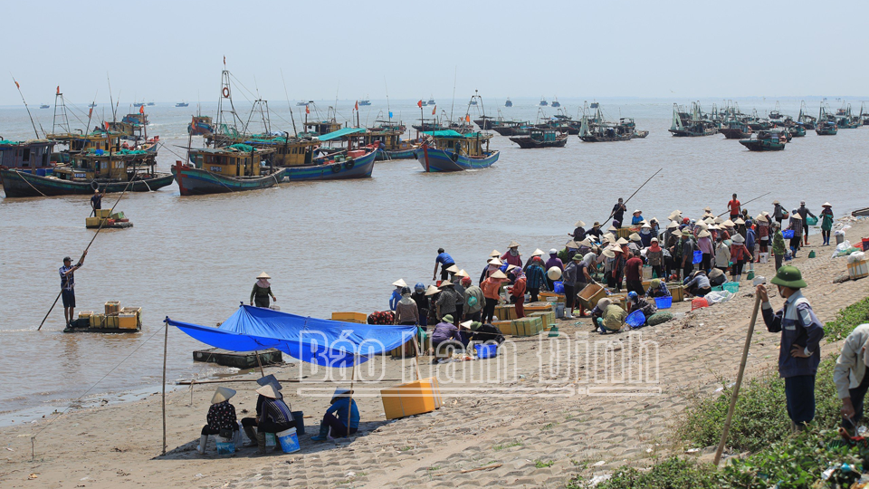 Nông dân Giao Thủy làm giàu từ kinh tế biển